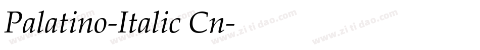Palatino-Italic Cn字体转换